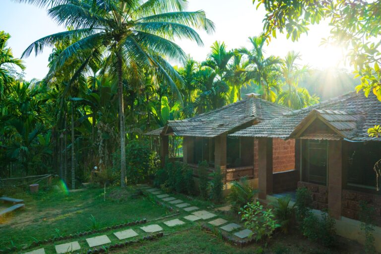 SURROUNDING GREENARY